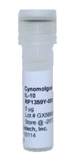 Kingfisher Biotech Inc Cynomolgus Monkey IL-10 Recombinant Protein (Yeast,
