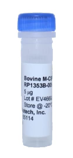 Kingfisher Biotech Inc Bovine M-CSF Recombinant Protein (Yeast, Endotoxin