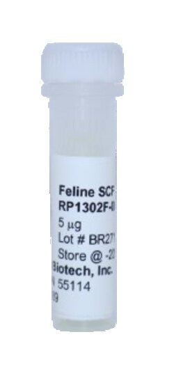 Kingfisher Biotech Inc Feline SCF Recombinant Protein (Yeast, Endotoxin
