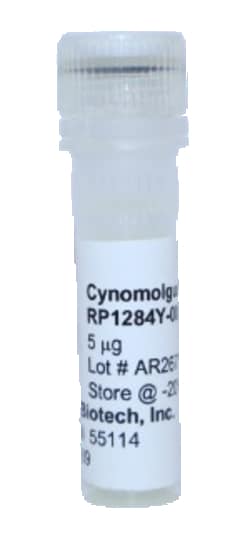 Kingfisher Biotech Inc Cynomolgus Monkey CCL2 Recombinant Protein (Yeast,