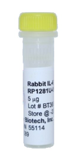 Kingfisher Biotech Inc Rabbit IL-6 Recombinant Protein (Yeast, Endotoxin