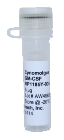 Kingfisher Biotech Inc Cynomolgus Monkey GM-CSF Recombinant Protein (Yeast,