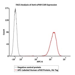 ACROBiosystems Human uPAR 25tests, Quantity: Each of 1