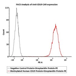 ACROBiosystems Streptavidin Protein-PE, Quantity: Each of 1