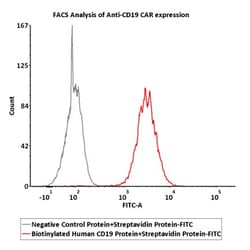 ACROBiosystems Streptavidin Protein-FITC, Quantity: Each of 1