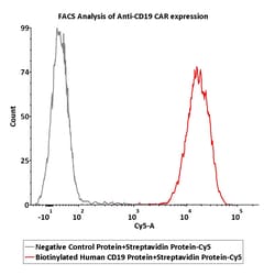 ACROBiosystems Streptavidin Protein-Cy5, Quantity: Each of 1