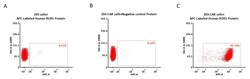 ACROBiosystems Human ROR1 25tests, Quantity: Each of 1