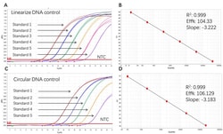ACROBiosystems&nbsp;Plasmid DNA DNA 100tests
