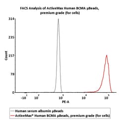 ACROBiosystems Human BCMA 2.5mg, Quantity: Each of 1