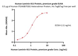 ACROBiosystems Human Laminin 411 Protein, Quantity: Each of 1