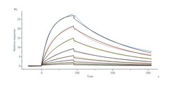 ACROBiosystems Human IgG1 Fc 200tests, Quantity: Each of 1
