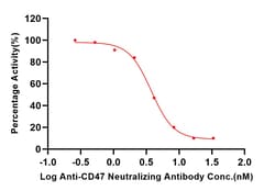 ACROBiosystems Human CD47 96tests | Buy Online | ACROBiosystems | Fisher Scientific