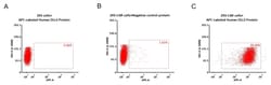 ACROBiosystems Human DLL3 25tests, Quantity: Each of 1