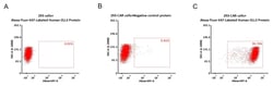 ACROBiosystems Human DLL3 25ug, Quantity: Each of 1