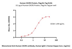ACROBiosystems Human CXCR5 20ug, Quantity: Each of 1