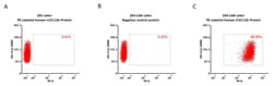 ACROBiosystems Human CLEC12A 25tests, Quantity: Each of 1