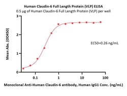 ACROBiosystems Human Claudin-6 20ug, Quantity: Each of 1