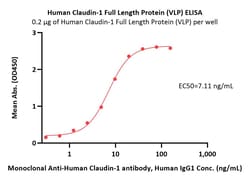 ACROBiosystems Human Claudin-1 100ug, Quantity: Each of 1