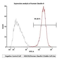 ACROBiosystems&nbsp;Human Claudin-9 2Vials