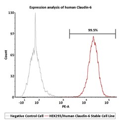ACROBiosystems&nbsp;Human Claudin-6 2Vials