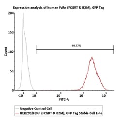ACROBiosystems FcRn FCGRT B2M 2Vials, Quantity: Each of 1
