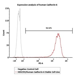 ACROBiosystems&nbsp;Human Cadherin-6 2Vials