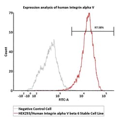 ACROBiosystems HEK293/Human Integrin alpha V, Quantity: Each of 1