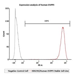 ACROBiosystems&nbsp;Human ENPP3 2Vials