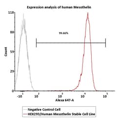 ACROBiosystems&nbsp;Human Mesothelin 2Vials