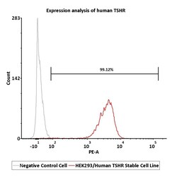 ACROBiosystems&nbsp;Human TSHR 2Vials