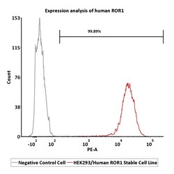 ACROBiosystems&nbsp;Human ROR1 2Vials