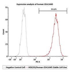 ACROBiosystems&nbsp;Human CEACAM-5 2Vials