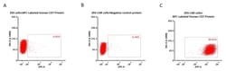 ACROBiosystems Human CD7 25tests, Quantity: Each of 1