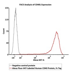 ACROBiosystems Human CD40 200tests, Quantity: Each of 1