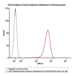 ACROBiosystems Carbonic Anhydrase IX 25tests, Quantity: Each of 1