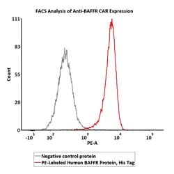 ACROBiosystems Human BAFFR 25tests, Quantity: Each of 1