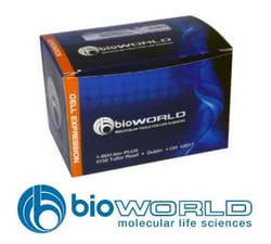 Bioworld Pregnant Mare Serum Gonadotrophin (PMSG), Quantity: Each of 1