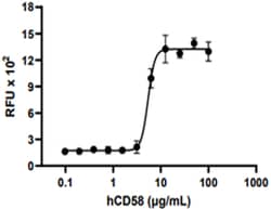 Biolegend Recombinant Human CD58 carrie, Quantity: Each of 1