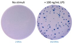 Biolegend&nbsp;ELISpot MAXTM Deluxe Set Hum