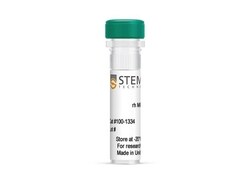 STEMCELL Technologies&nbsp;Human Recombinant MIP-4