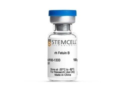 STEMCELL Technologies Human Recombinant Fetuin B, Quantity: Each of 1