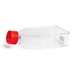 STEMCELL Technologies CellAdhere Fibronectin-Coated