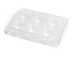 STEMCELL Technologies CellAdhere Fibronectin-Coated, Quantity: Each of