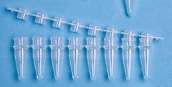 World Precision Instrument Microcentrifuge tube strips, 0.2mL, domed cap strips, pkg of 250