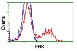 OriGene FRK Mouse Monoclonal Antibody [Clone ID: OTI6D2], Quantity: Each