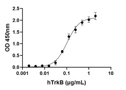 Biolegend GMP Recombinant Human BDNF (carrier-free) Reactivity: Human;