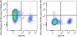Biolegend APC anti-PLCγ1 Phospho (Tyr783) [A17025A]; Isotype: Mouse IgG1,