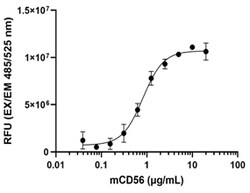 Biolegend&nbsp;Recombinant Mouse CD56/NCAM-1 (carrier-free) Reactivity: Mouse; Apps: BA; Size: 25 ug