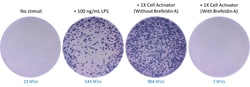 Biolegend ELISpot MAX Deluxe Set Human TNF-α Reactivity: Human; Apps: ELISpot;