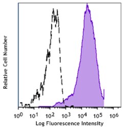 Biolegend APC anti-rat CD86 [24F]; Isotype: Mouse IgG1, κ; Reactivity: